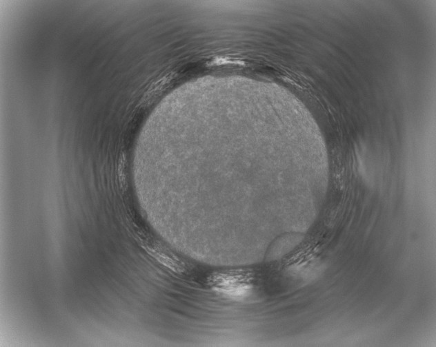 X0000051880563200507221952