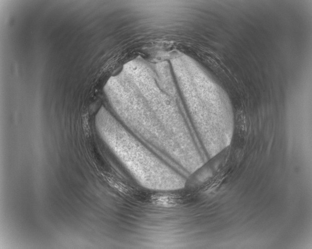 X0000051880564200507221952