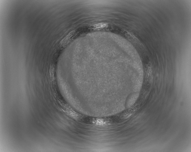 X0000051880565200507221952