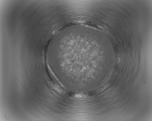 X0000051880568200507221952