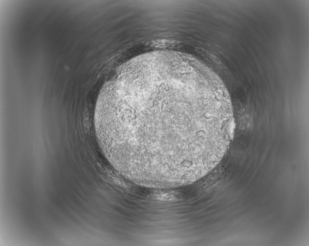 X0000051880569200507221952