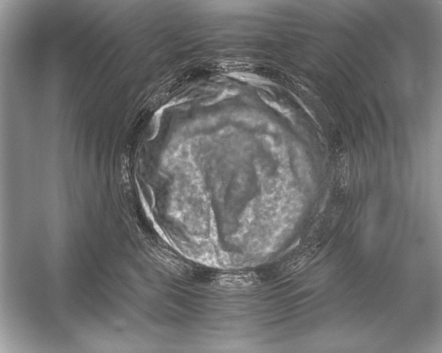 X0000051880571200507221953