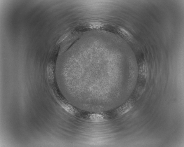 X0000051880572200507221953