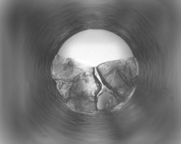 X0000051880573200507221953