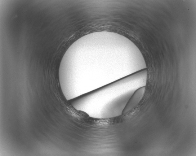 X0000051880574200507221953