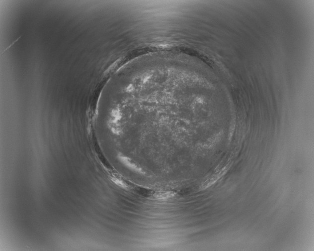 X0000051880576200507221953