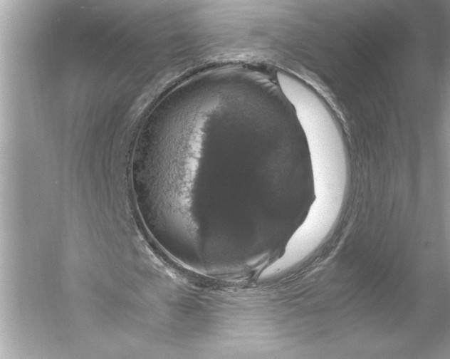 X0000051880577200507221952