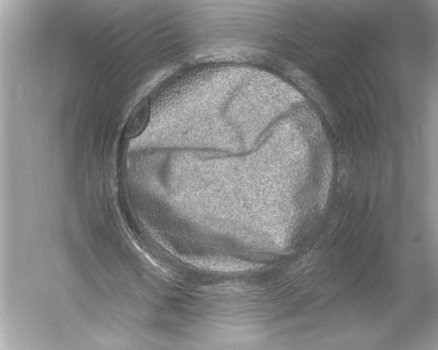 X0000051880578200507221952