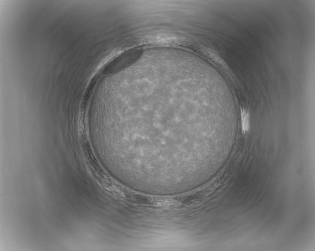 X0000051880579200507221952