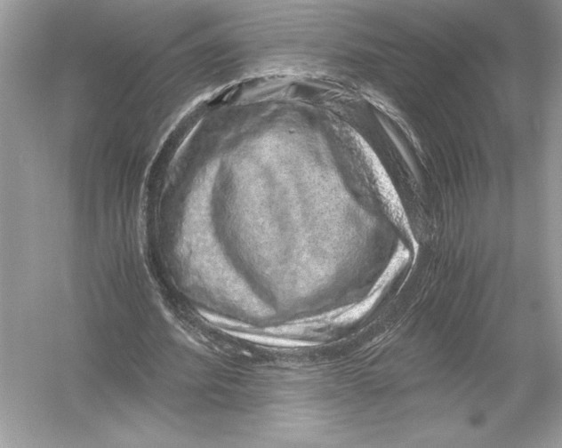 X0000051880580200507221952