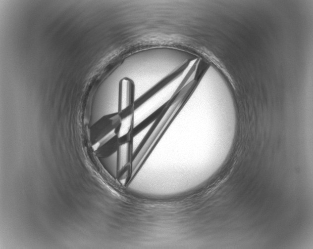 X0000051880581200507221952