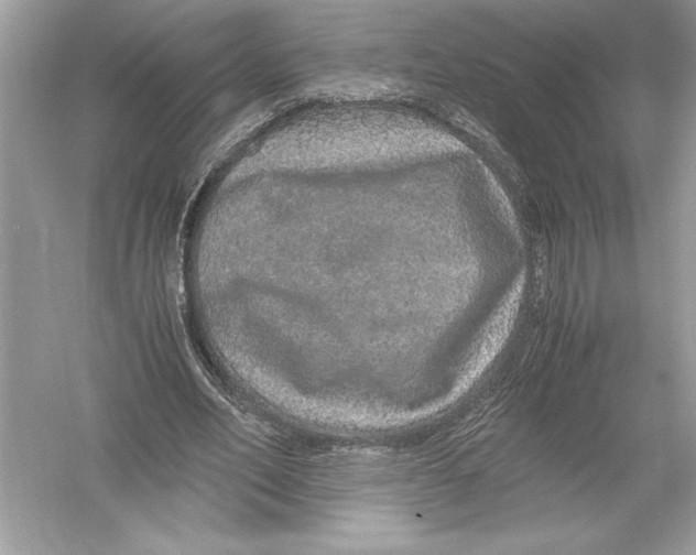 X0000051880582200507221952