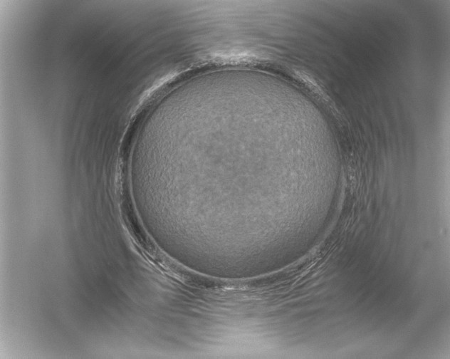 X0000051880583200507221952