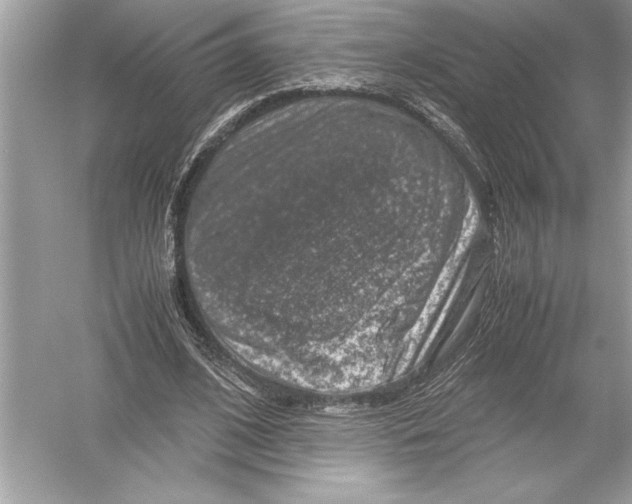 X0000051880584200507221952