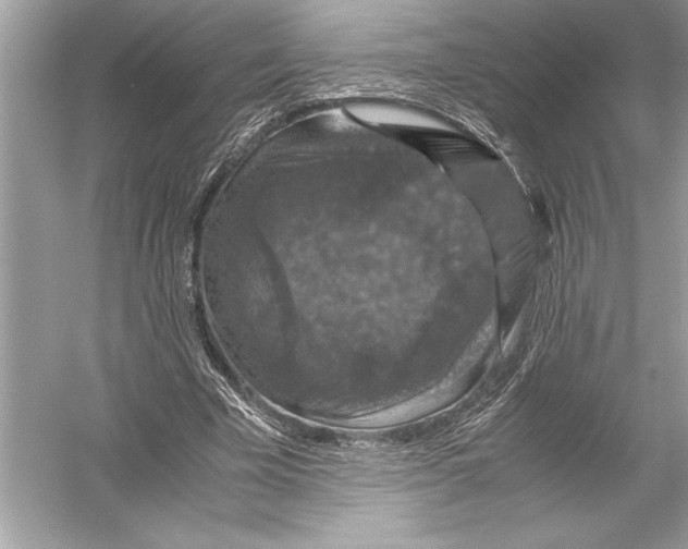 X0000051880585200507221952