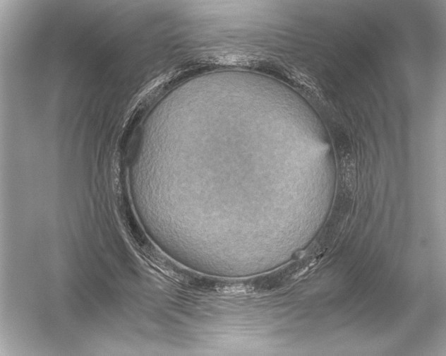 X0000051880587200507221952