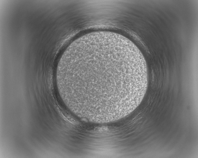 X0000051880588200507221952