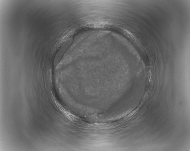 X0000051880589200507221952