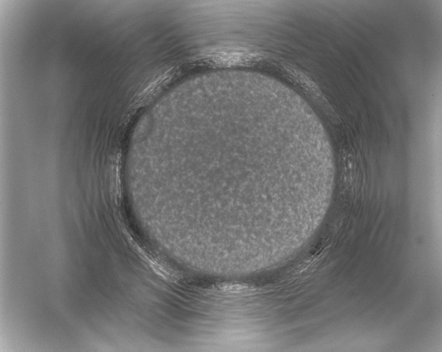 X0000051880590200507221952