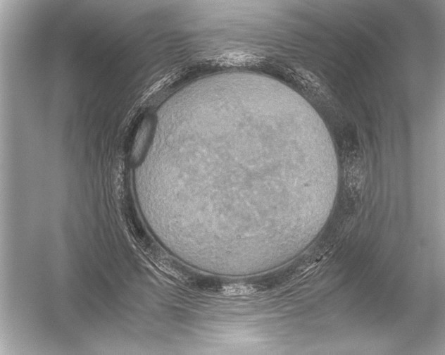 X0000051880591200507221952