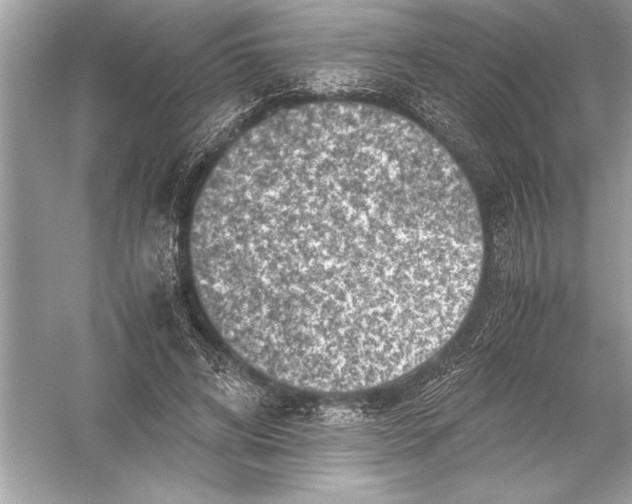 X0000051880592200507221952