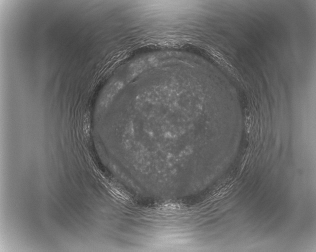 X0000051880593200507221952