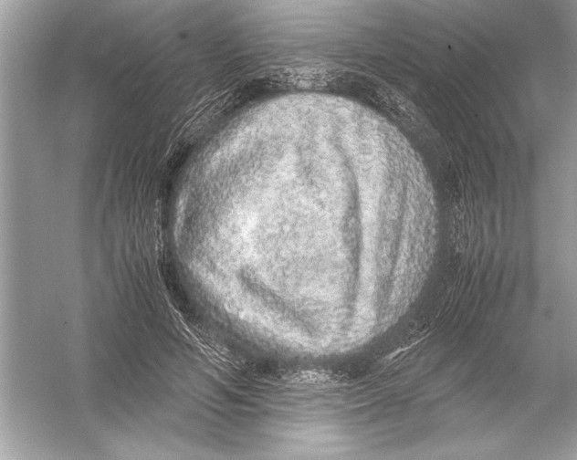 X0000051880594200507221951