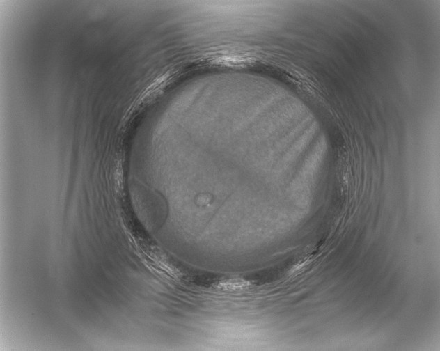 X0000051880595200507221951