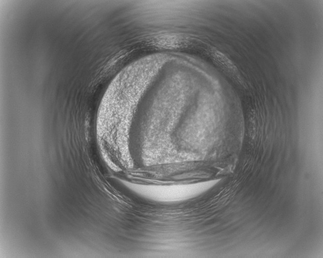 X0000051880596200507221951