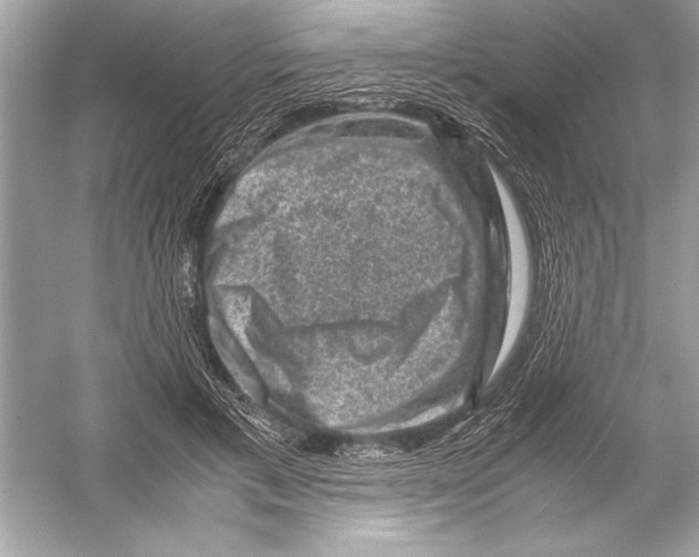 X0000051880597200507221951