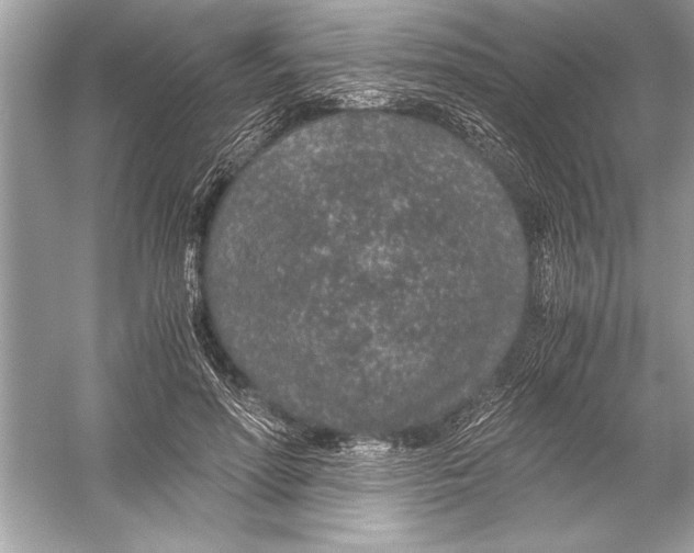 X0000051880598200507221951