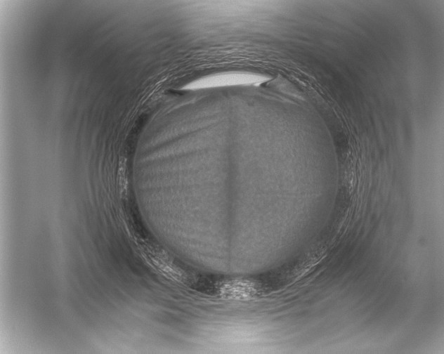 X0000051880599200507221951