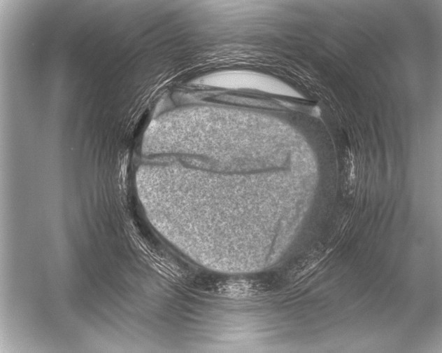 X0000051880600200507221951