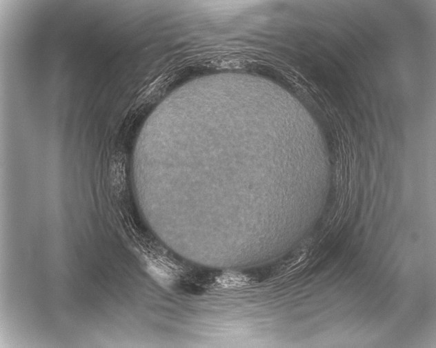 X0000051880603200507221951