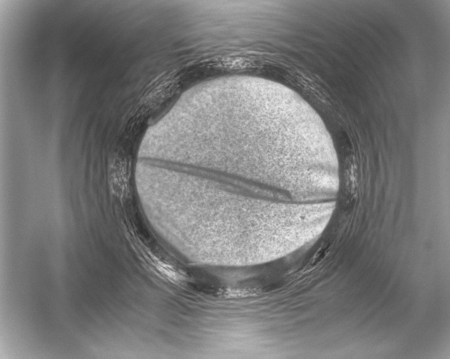 X0000051880605200507221951