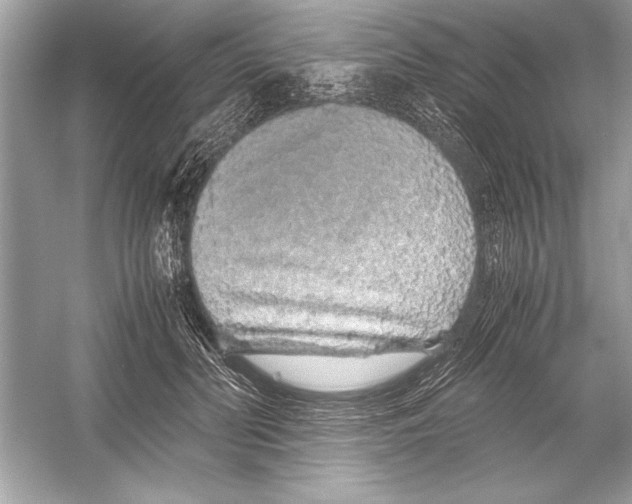 X0000051880606200507221951