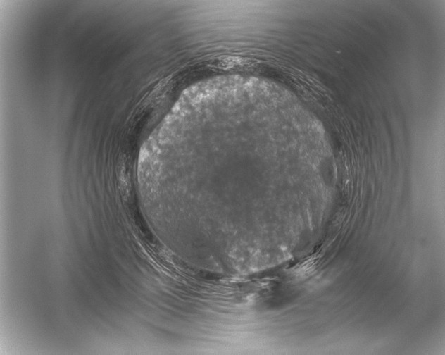 X0000051880607200507221951