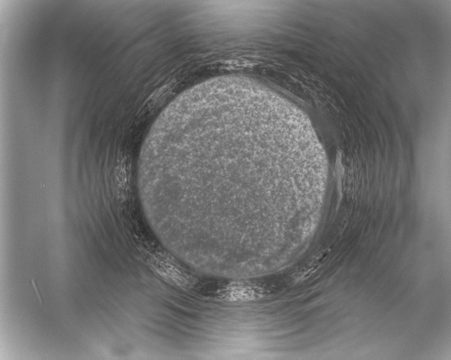 X0000051880608200507221951