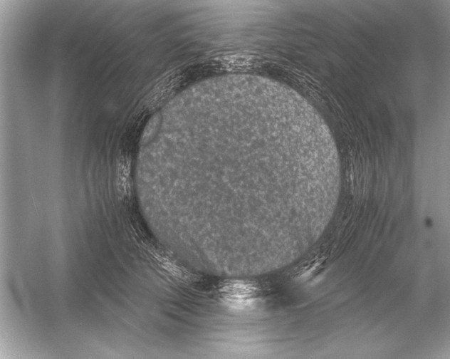 X0000051880610200507221951