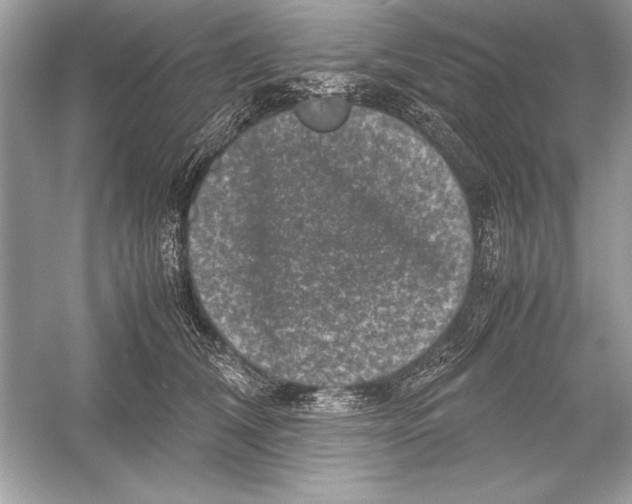 X0000051880612200507221951