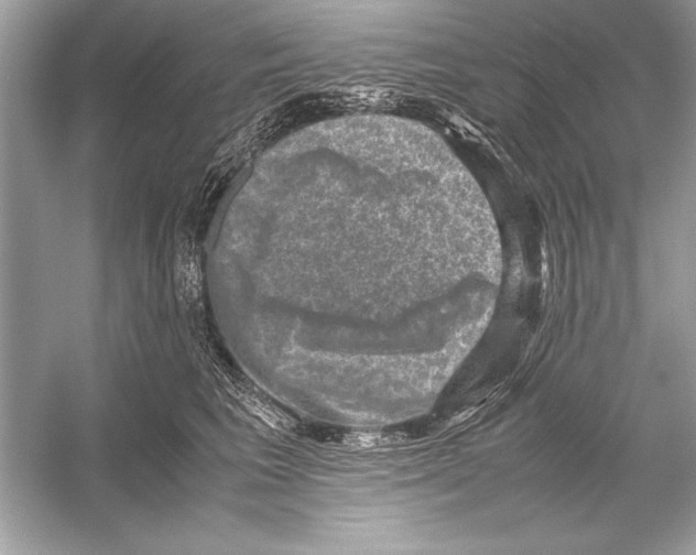 X0000051880613200507221951