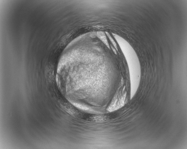 X0000051880615200507221951