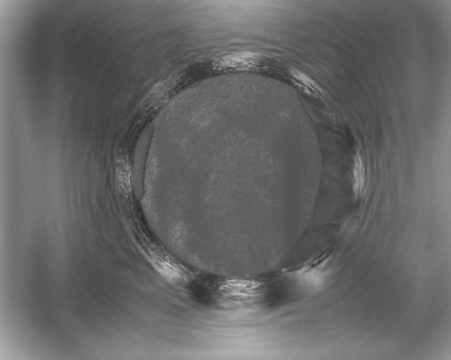 X0000051880617200507221951