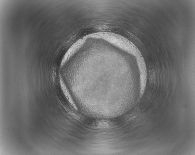 X0000051880618200507221951