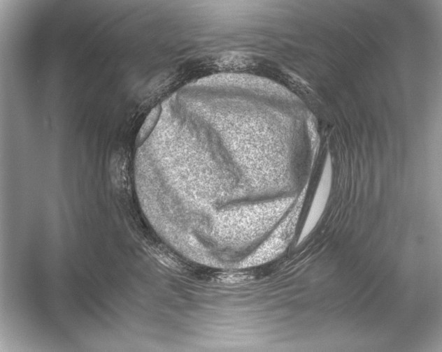 X0000051880619200507221951