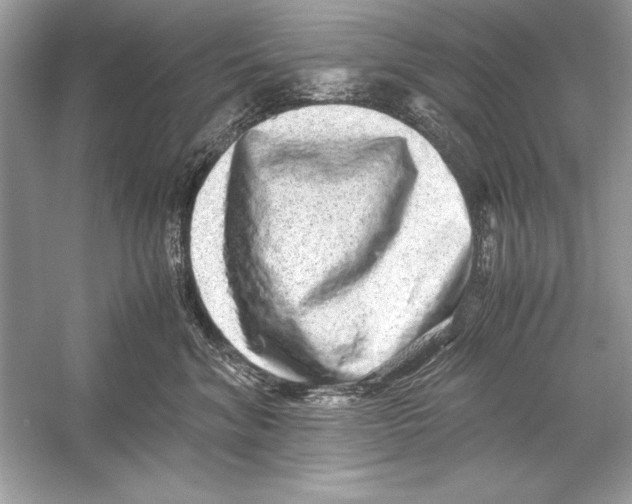 X0000051880620200507221951