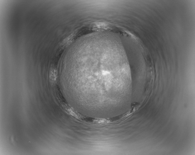 X0000051880621200507221951