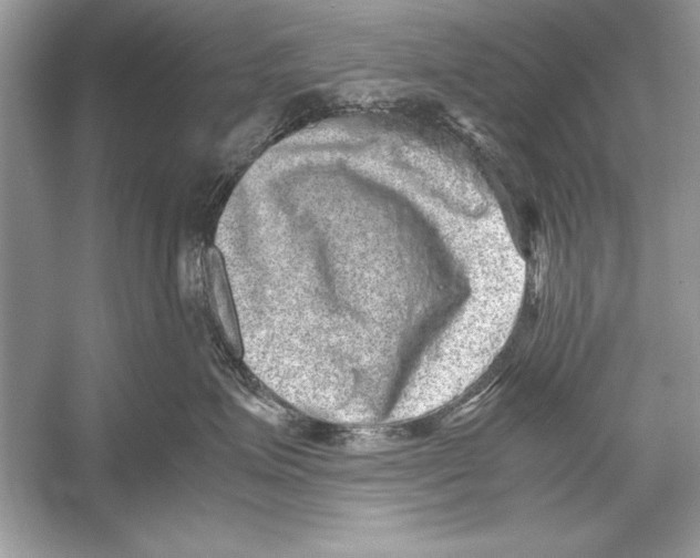 X0000051880623200507221951