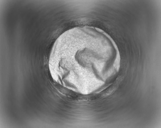 X0000051880624200507221951