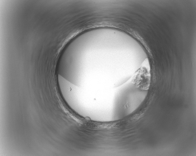 X0000051880625200507221950